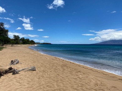 Hokulani 547 - Welcome to your dream beachfront luxury - photo 42
