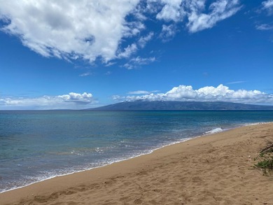 Hokulani 547 - Welcome to your dream beachfront luxury - photo 43
