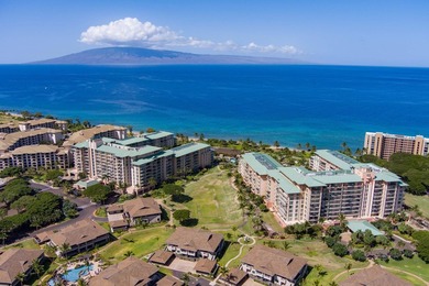 Hokulani 547 - Welcome to your dream beachfront luxury - photo 45