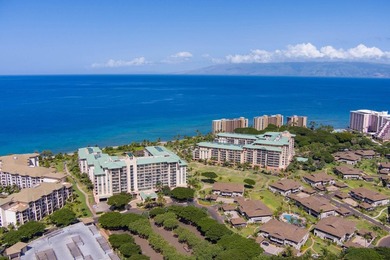 Hokulani 547 - Welcome to your dream beachfront luxury - photo 46