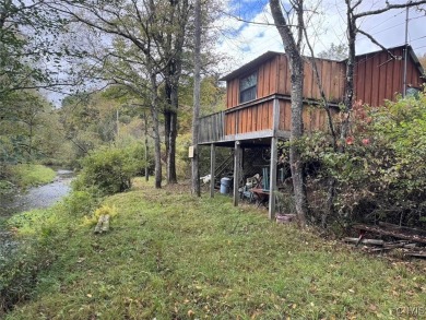 (private lake, pond, creek) Acreage Sale Pending in Little Genesee New York