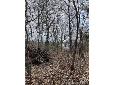 Lake Lot For Sale in Camdenton, Missouri