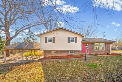 Lake Home For Sale in Cadiz, Kentucky