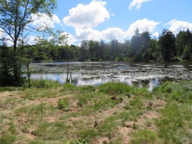 (private lake, pond, creek) Acreage For Sale in West Turin New York