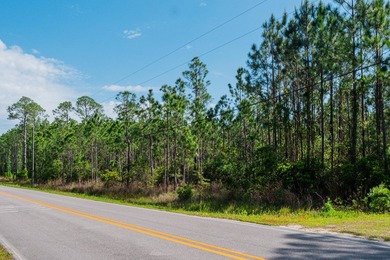 This 9.75 acre tract of wooded land has 330' of frontage on Hwy - photo 11