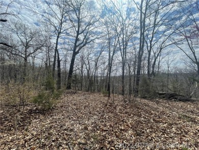 Lake Lot For Sale in Camdenton, Missouri
