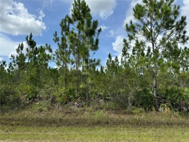 Lake Weohyakapka Lot For Sale in Indian Lake Estates Florida