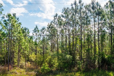 This 9.75 acre tract of wooded land has 330' of frontage on Hwy - photo 13