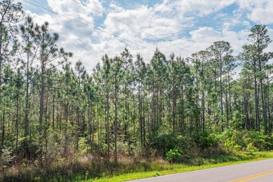 This 9.75 acre tract of wooded land has 330' of frontage on Hwy - photo 14