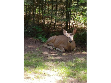 Excellent pricing on the ultimate outdoor enthusiast's dream! - photo 21