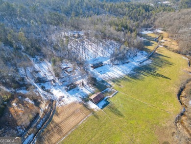 Lake Home For Sale in Tiger, Georgia