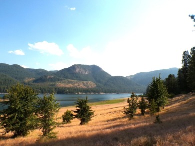 Lake Acreage For Sale in Kettle Falls, Washington