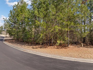 Prime 0.5 +/- Acre Lot in Timberton's LakeView Golf - photo 8