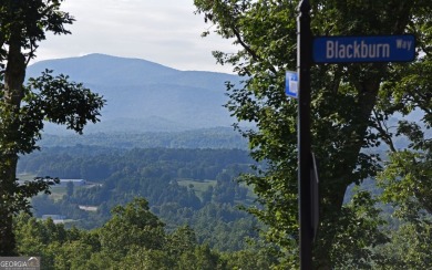 Lake Lot For Sale in Blairsville, Georgia