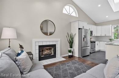 Lake Thompson access, a newly renovated kitchen, light-filled - photo 6