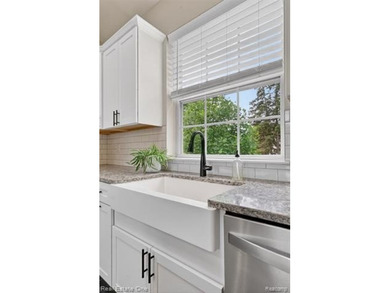 Lake Thompson access, a newly renovated kitchen, light-filled - photo 10