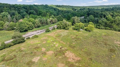 Own the largest contiguous parcel in Scio Township! This 90+ - photo 31