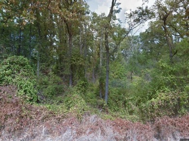 Cedar Creek Lake Lot For Sale in Mabank Texas