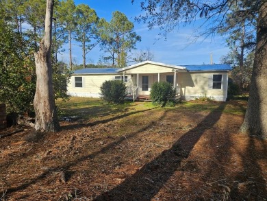 Lake Home For Sale in Ray City, Georgia