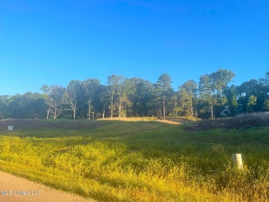 Luxury Lot Listing in the incomparable gated Gray's Creek - photo 1
