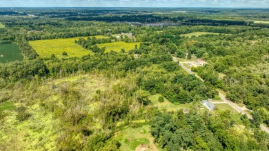 Lake Acreage For Sale in Parma, Michigan