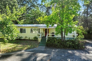 (private lake, pond, creek) Home For Sale in Middletown California