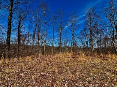 Don't miss this fantastic investment opportunity--over 30 acres - photo 9
