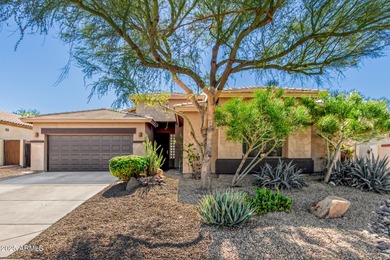 (private lake, pond, creek) Home For Sale in Goodyear Arizona