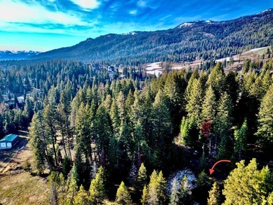 Build Your Mountain Getaway Near Tamarack Resort! This beautiful - photo 3