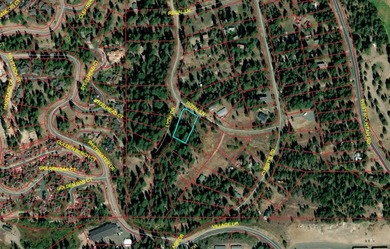 Build Your Mountain Getaway Near Tamarack Resort! This beautiful - photo 4