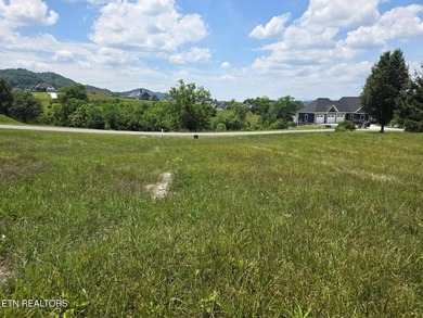 Lake community and lake access lot at a reasonable price. A - photo 5
