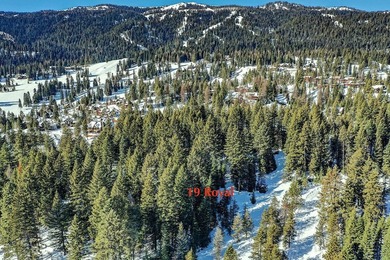 Build Your Mountain Getaway Near Tamarack Resort! This beautiful - photo 6