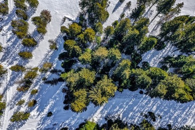 Build Your Mountain Getaway Near Tamarack Resort! This beautiful - photo 7