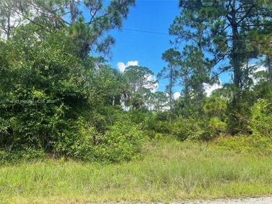 Lehigh Acres Area Lot For Sale in Lehigh Acres Florida