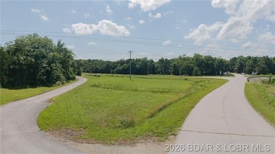 Prime 14-acre tract with 1700' of Highway 65 frontage! This - photo 15