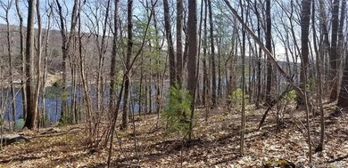 A lot with a spectacular view overlooks the lake. Imagine your - photo 3