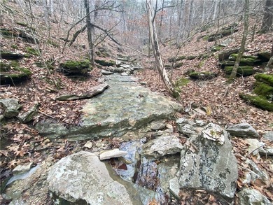 +/-60 acres with great views of the surrounding mountains in - photo 11
