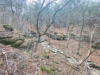 +/-60 acres with great views of the surrounding mountains in - photo 12