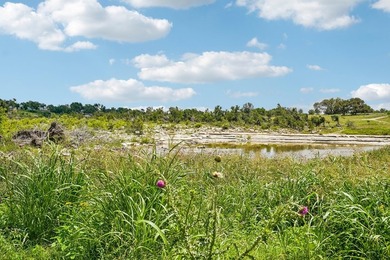 Guadalupe River Frontage with Exceptional Recreational Appeal - photo 12