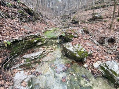 +/-60 acres with great views of the surrounding mountains in - photo 13