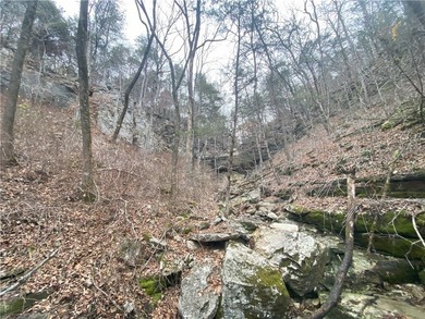 +/-60 acres with great views of the surrounding mountains in - photo 14