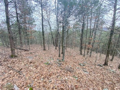 +/-60 acres with great views of the surrounding mountains in - photo 15
