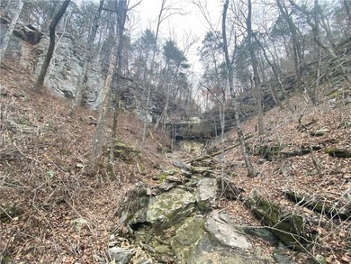 +/-60 acres with great views of the surrounding mountains in - photo 16