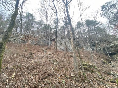 +/-60 acres with great views of the surrounding mountains in - photo 17