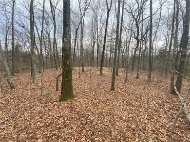 +/-60 acres with great views of the surrounding mountains in - photo 18