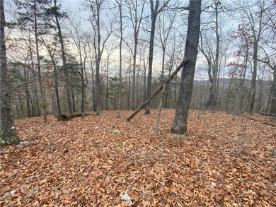 +/-60 acres with great views of the surrounding mountains in - photo 19