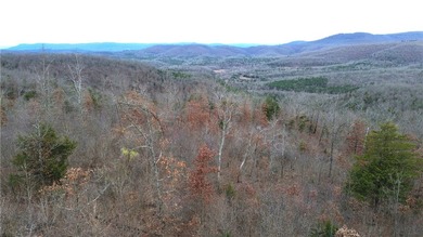 +/-60 acres with great views of the surrounding mountains in - photo 20