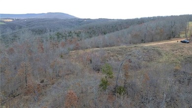 +/-60 acres with great views of the surrounding mountains in - photo 21