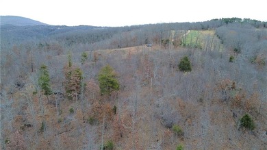 +/-60 acres with great views of the surrounding mountains in - photo 22
