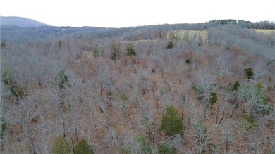 +/-60 acres with great views of the surrounding mountains in - photo 23